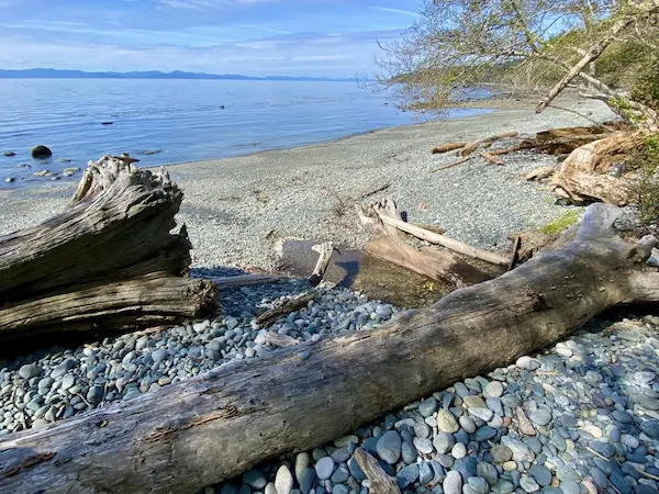 Driftwood and calm blue waters at the beach below Ocean Wilderness Inn, accessible via the property's private rainforest hiking trail in Shirley, BC.