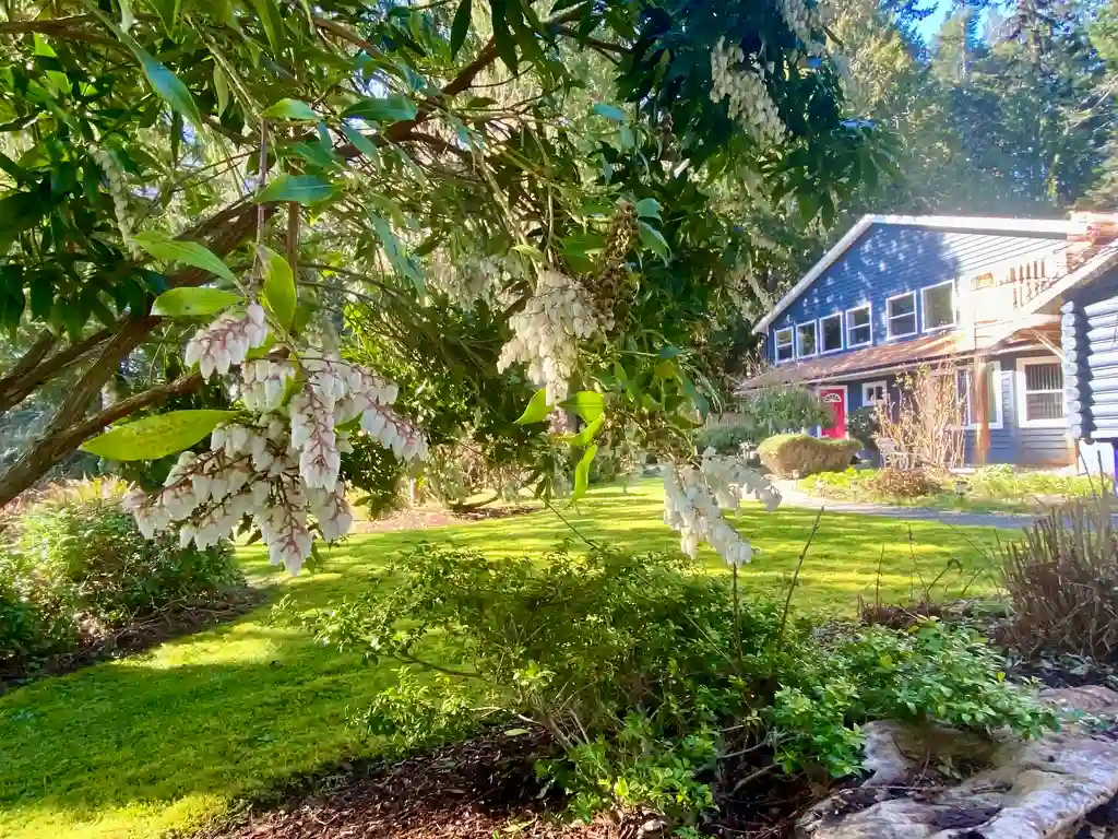 Beautiful oceanfront country inn on 5 acres with a path to the sea. 8 private suites.