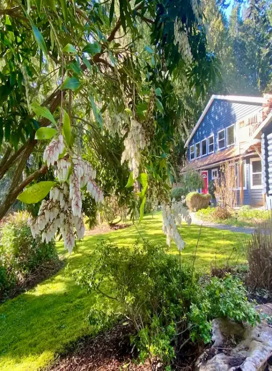 Blooming trees and manicured oceanfront grounds at Ocean Wilderness Inn