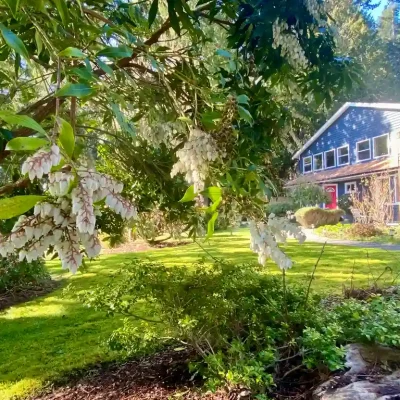 Beautiful oceanfront country inn on 5 acres with a path to the sea. 8 private suites.
